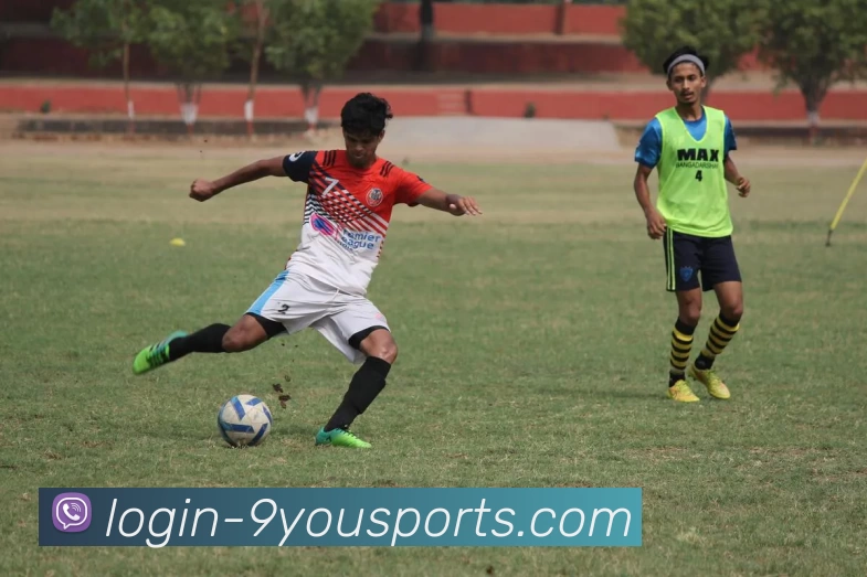 九游体育app下在平台生态图